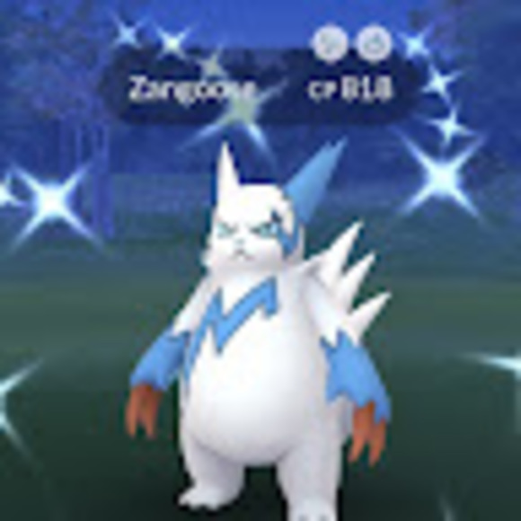 Meet your Posher, Gerald - Picture 1 of 1